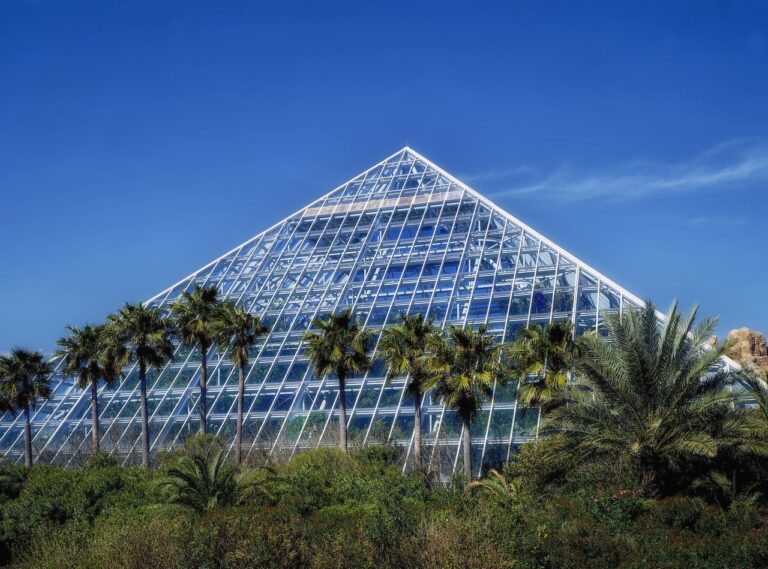 galveston, texas, moody gardens, palm trees, architecture, pyramid, landmark, glass, blue gardening, galveston, galveston, galveston, galveston, galveston, moody gardens, moody gardens